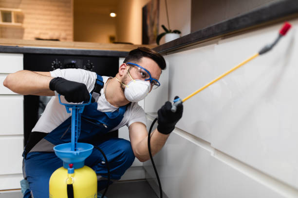 Best Affordable Pest Control Services  in Terrebonne, OR