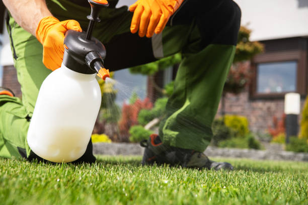 Best Wildlife Control Services  in Terrebonne, OR