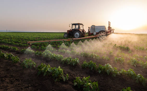 Best Pest Removal Services  in Terrebonne, OR