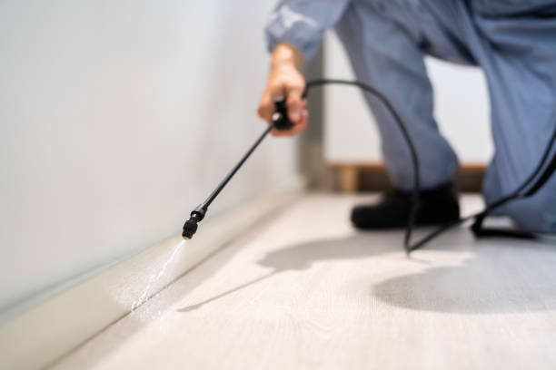 Best Best Pest Control Companies  in Terrebonne, OR