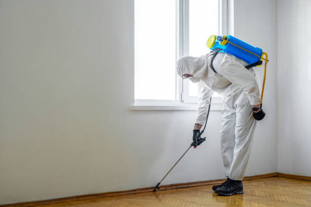 Best Affordable Pest Control Services  in Terrebonne, OR