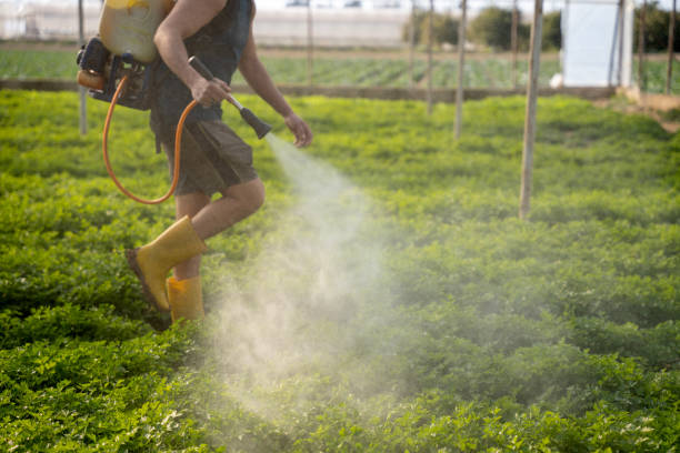 Pest Control for Restaurants in Terrebonne, OR