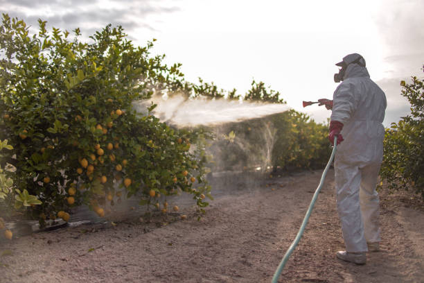 Spider Control Near Me in Terrebonne, OR