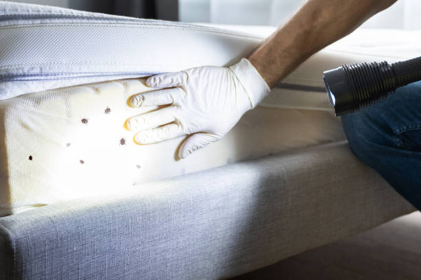 Best Exterminator Services  in Terrebonne, OR