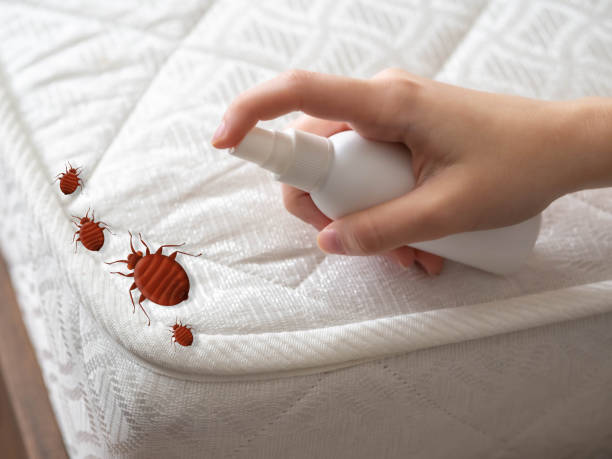 Best Pest Control for Restaurants  in Terrebonne, OR