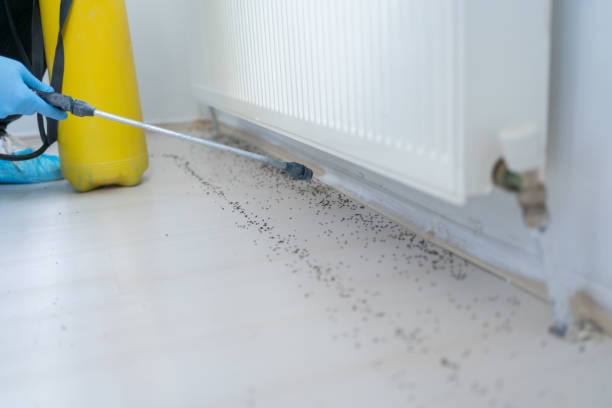 Best Cockroach Control Services  in Terrebonne, OR