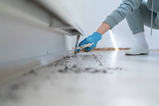 Best Flea Control Services  in Terrebonne, OR